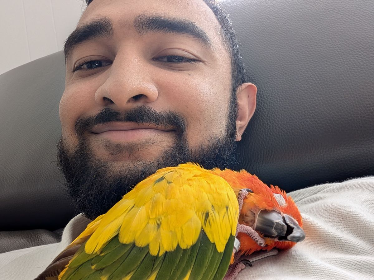 Man with a yellow-and-orange parrot perched on his shoulder